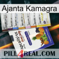 Ajanta Kamagra 11